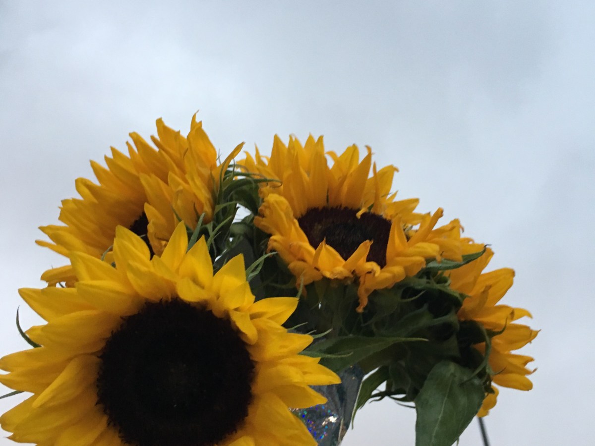 Hope in the Midst of&nbsp;Grief