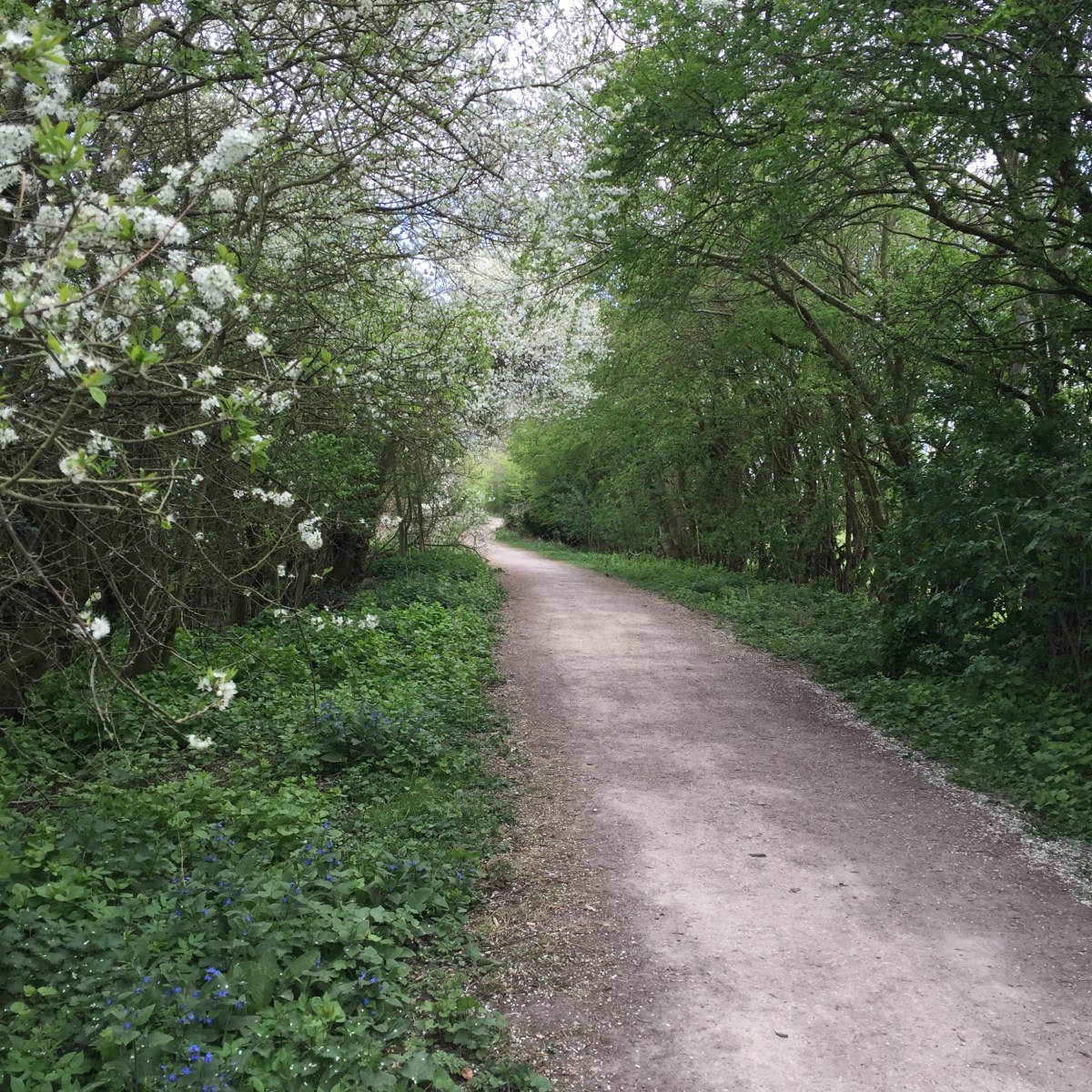 Your Will Be&nbsp;Done?