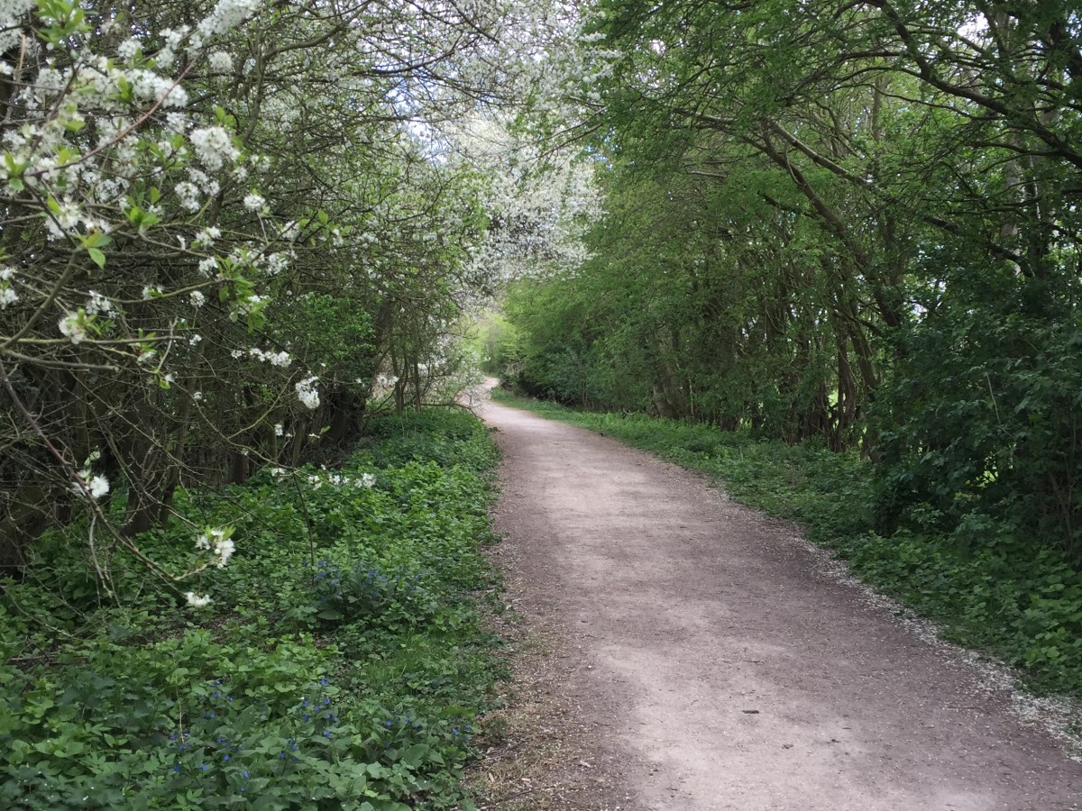 Your Will Be&nbsp;Done?